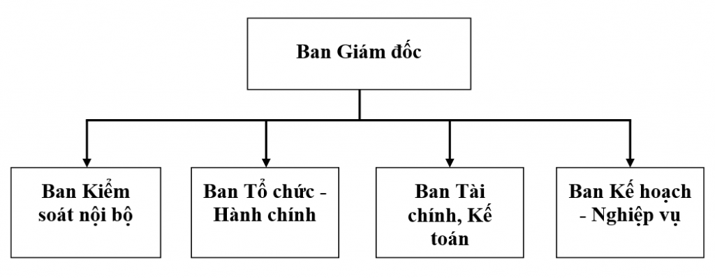 Cơ cấu tổ chức – VTF